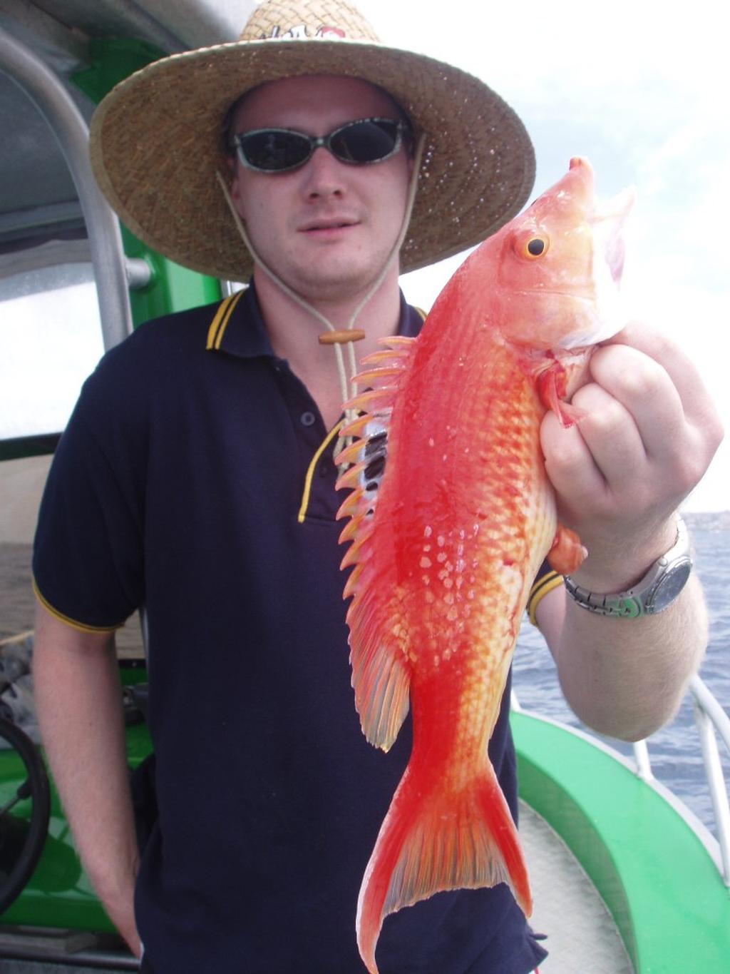 One of Scotty Lyons happy customer with a pig fish caught while bottom bouncing off Coogee © Gary Brown